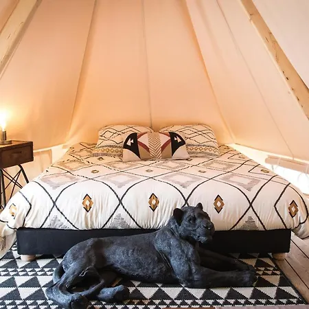 Whaka Luxury Camp Lodge *
