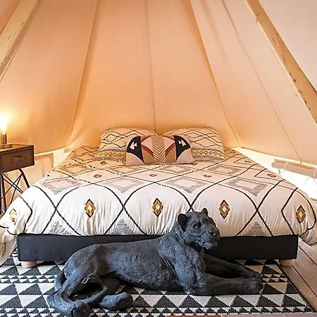 Lodge Whaka Luxury Camp *